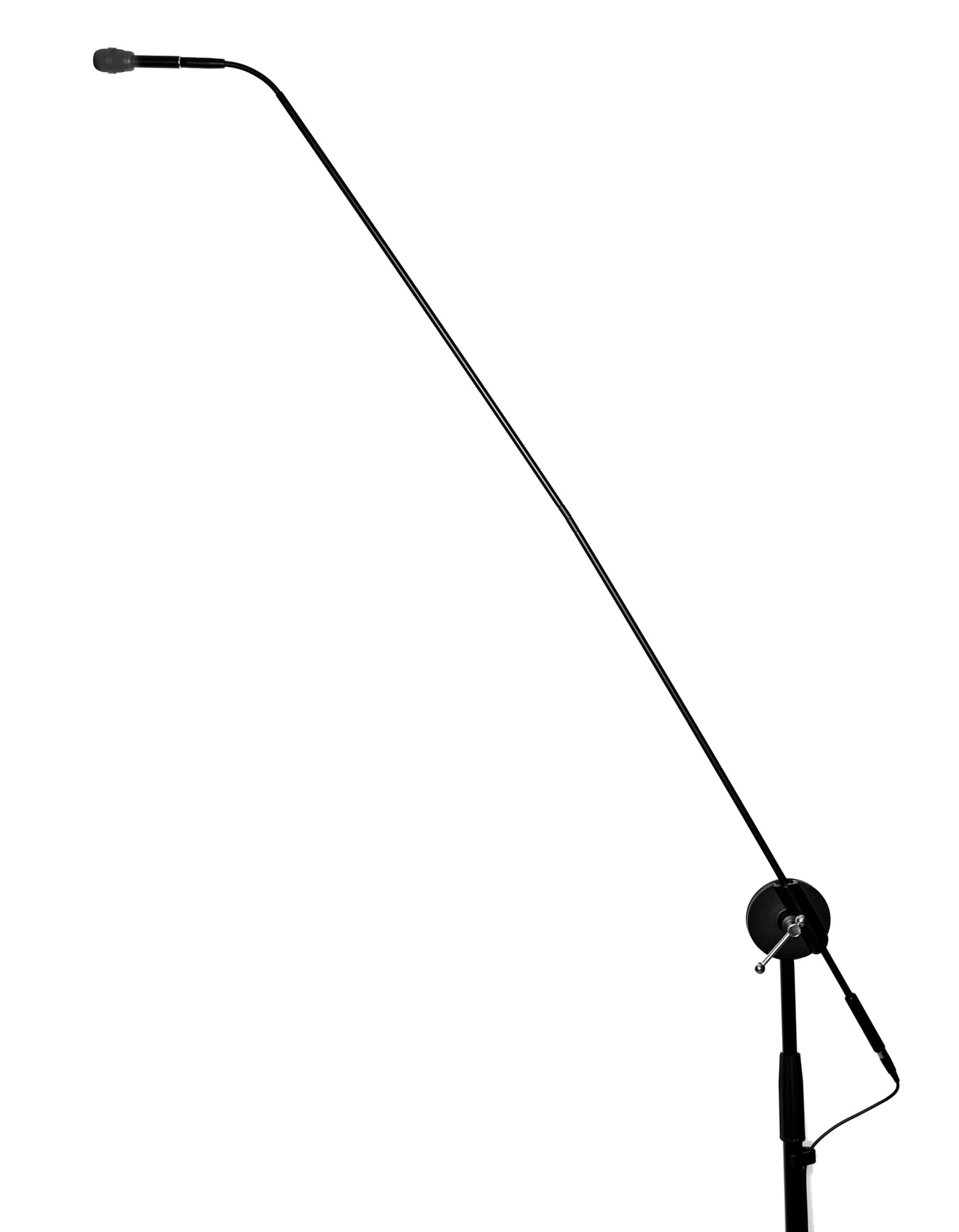 Specialty Sound